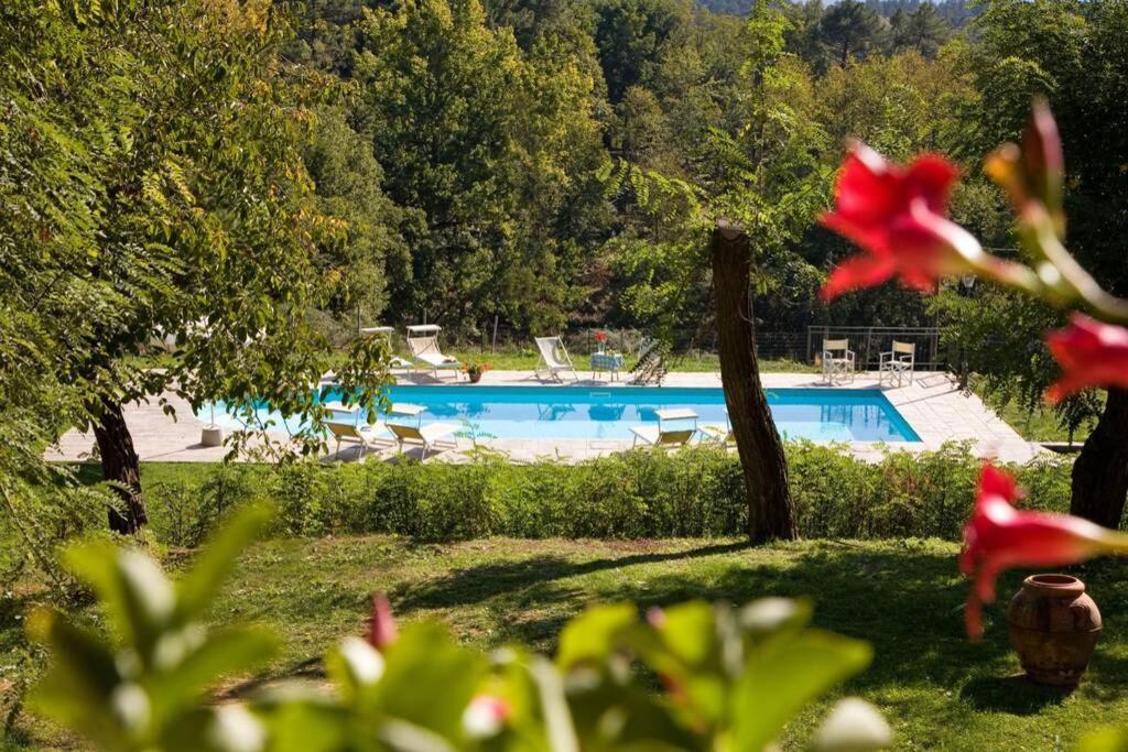 Villa Liz Tuscany, Private Pool, Hot Tub, Property Fenced, Pets Allowed ป็อปปี ภายนอก รูปภาพ