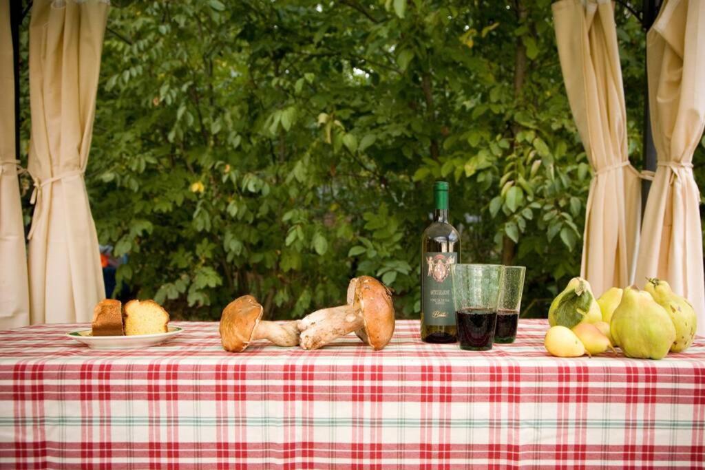 Villa Liz Tuscany, Private Pool, Hot Tub, Property Fenced, Pets Allowed ป็อปปี ภายนอก รูปภาพ