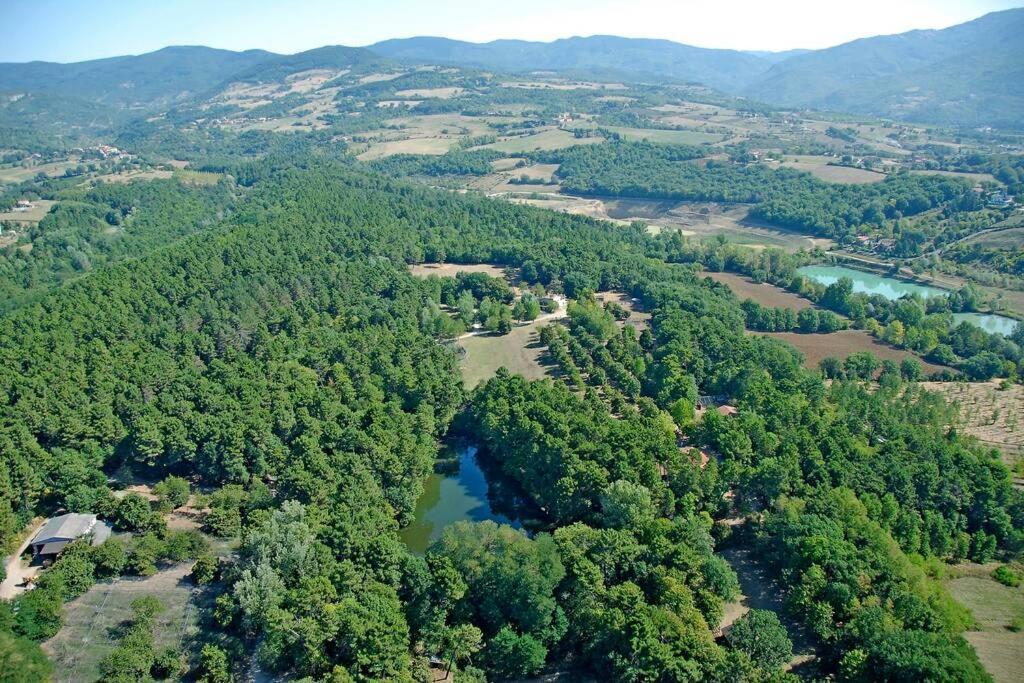 Villa Liz Tuscany, Private Pool, Hot Tub, Property Fenced, Pets Allowed ป็อปปี ภายนอก รูปภาพ